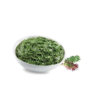 CAVOLO NERO RICCIO KALE OROGEL KG 1