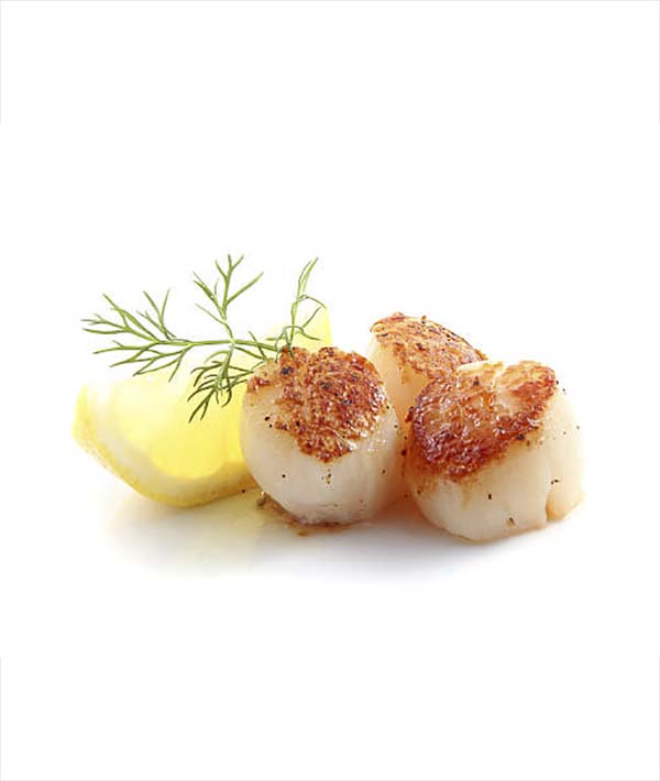 CAPPASANTA ATLANTICA SENZA GUSCIO 8/12 PZ/LB  IQF GR 800