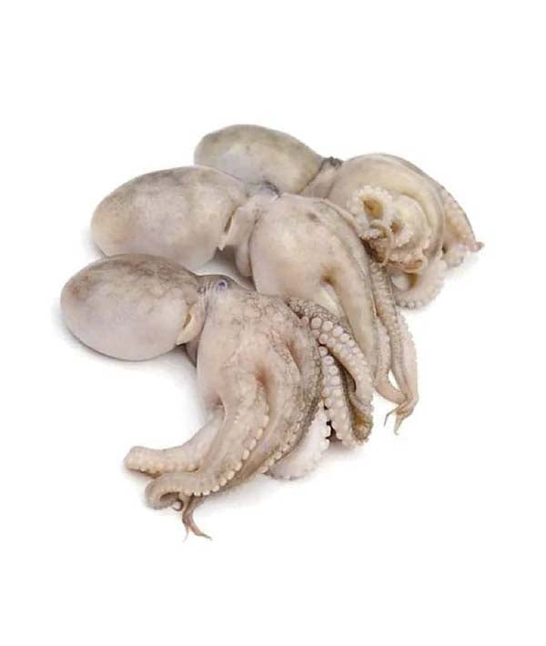 POLIPETTO INDIA PULITO IQF PZ 20/40 GR 800