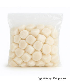 CANESTRELLO AUSTRALE SENZA GUSCIO FAO 41 80/120 PZ/LB BUSTA KG 1