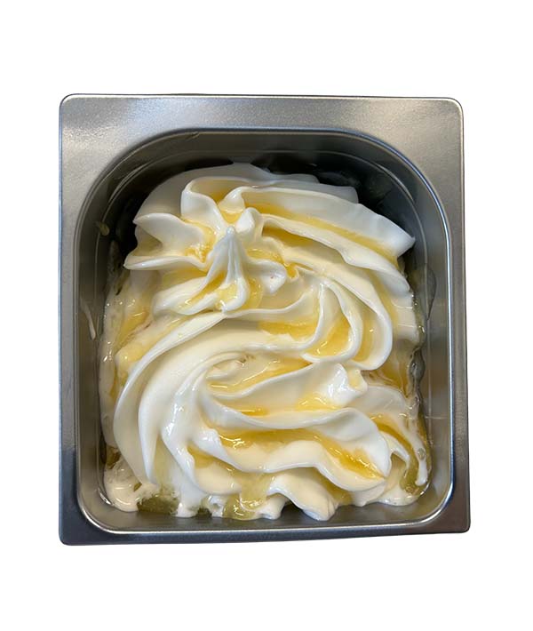 SORBETTO LIMONE E SAMBUCO SORBETTÌ KG 1,5