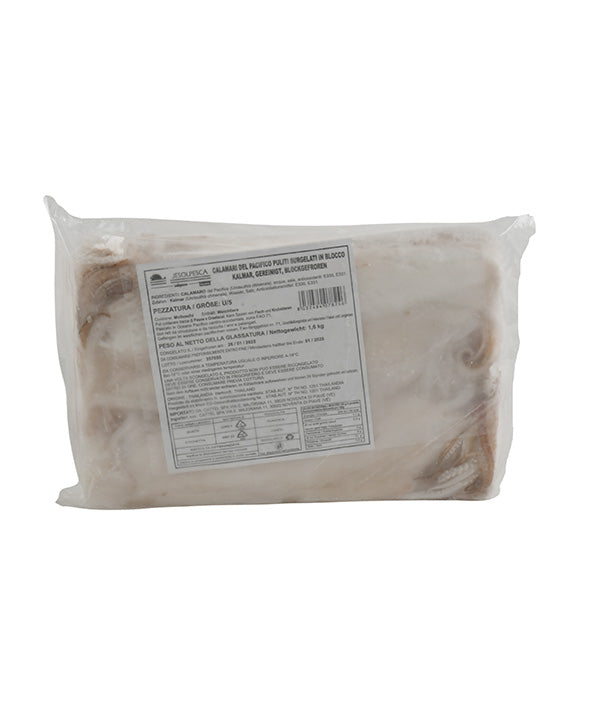 CALAMARO THAY U5 PULITO PLACCA JESOPESCA SELEZIONE KG 1,6