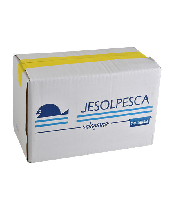 CALAMARO THAY U5 PULITO PLACCA JESOPESCA SELEZIONE KG 1,6