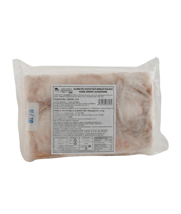 CALAMARO THAY U10 PULITO PLACCA JESOLPESCA SELEZIONE KG 1,6