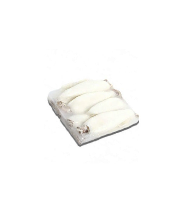 CALAMARO THAY U10 PULITO PLACCA JESOLPESCA SELEZIONE KG 1,6