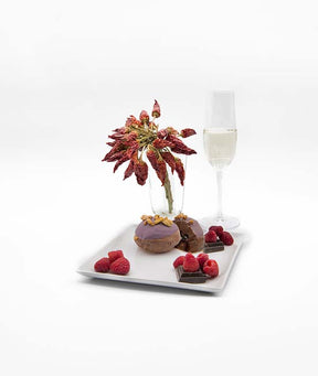 MONOPORZIONE PICCANTE CIOCCOLATO/LAMPONE CON LATTE DI BUFALA GR 120 PZ 12