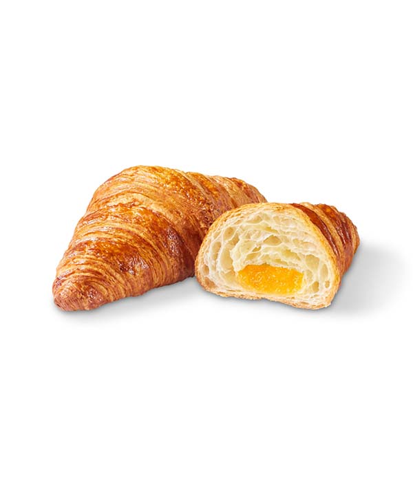 CROISSANT MELANGE ALBICOCCA GR 90 BRIDOR PZ 40