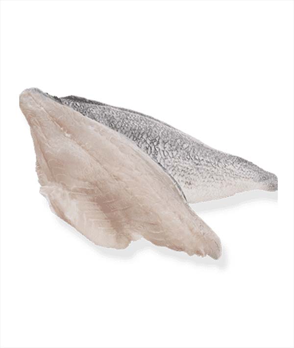 LUCIOPERCA FILETTO GR 800/+ CON PELLE IQF KG 8