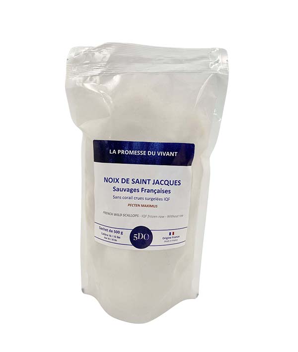 CAPPASANTA ATLANTICA SENZA GUSCIO SENZA CORALLO 20/30 PZ/LB 
SAINT JACQUES GR 500