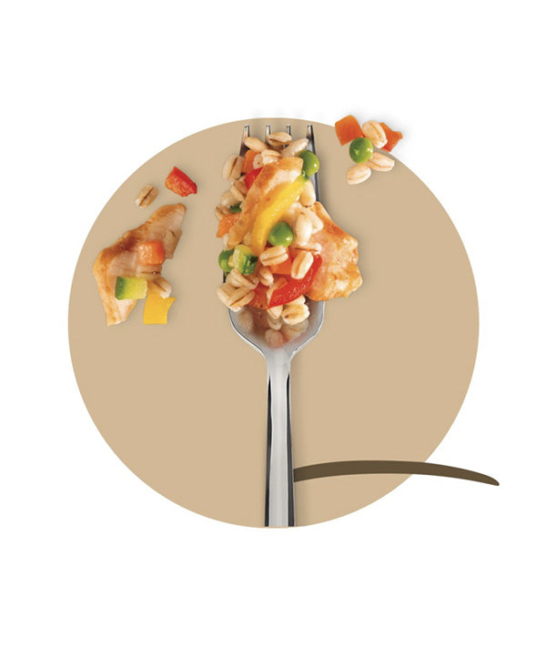 ORZO CON TAGLIATA DI POLLO FIORDIPRIMI GR 300