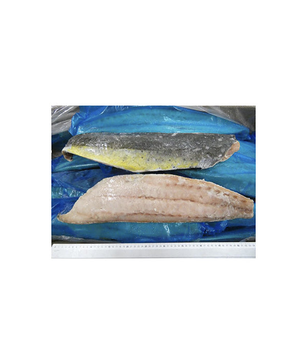 LAMPUGA FILETTI FAO 87 CON PELLE KG 1/1,5 IWP KG 22,68