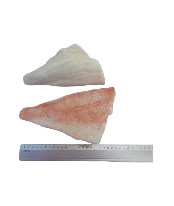 SCORFANO FILETTI ATLANTICO CON PELLE GR 200/300 IQF KG 1