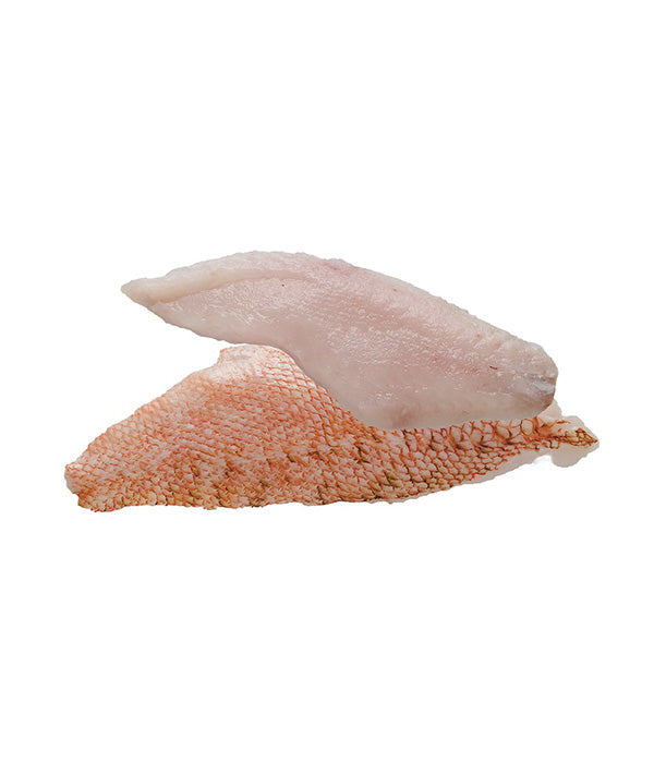 SCORFANO FILETTI ATLANTICO CON PELLE GR 200/300 IQF KG 1