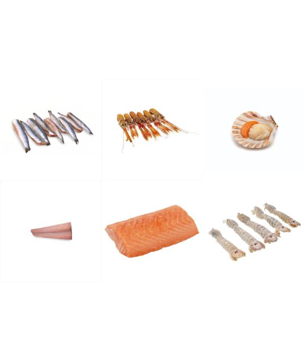 DRIVE BOX 1 CRUDI DYP KG 1