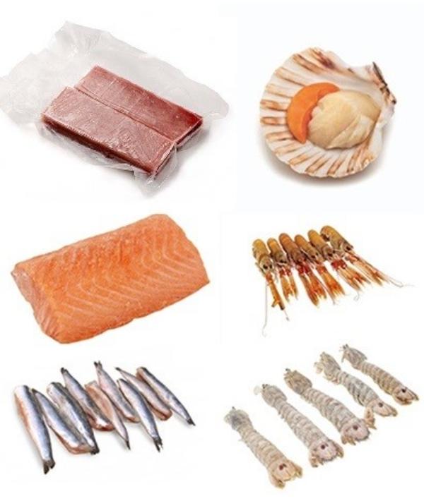 DRIVE BOX 1 CRUDI DYP KG 1