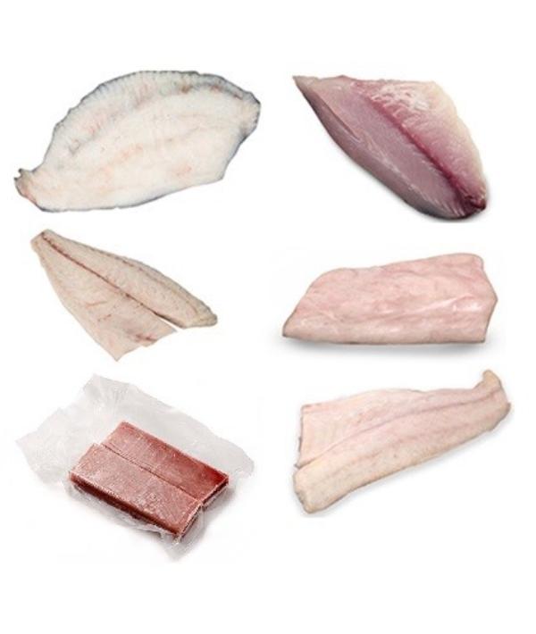 DRIVE BOX FILETTI DYP KG 1