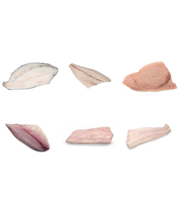 DRIVE BOX FILETTI DYP KG 1