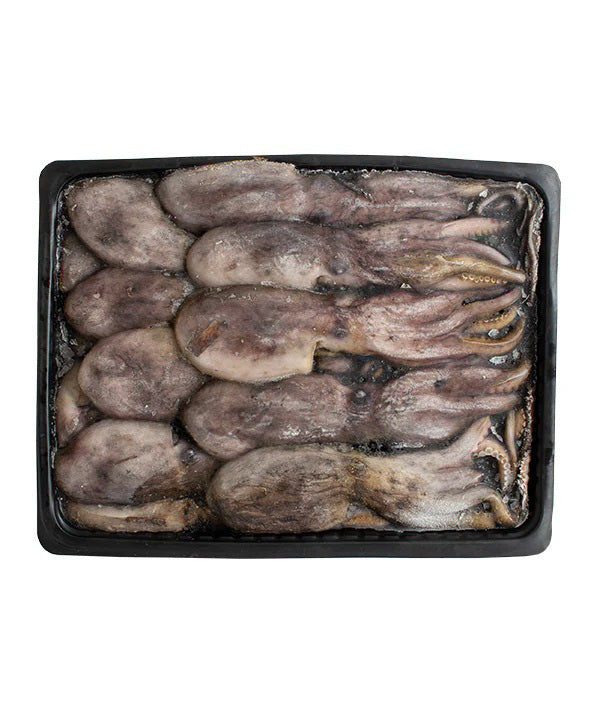 MOSCARDINO NERO M GR 120/200 KG 3