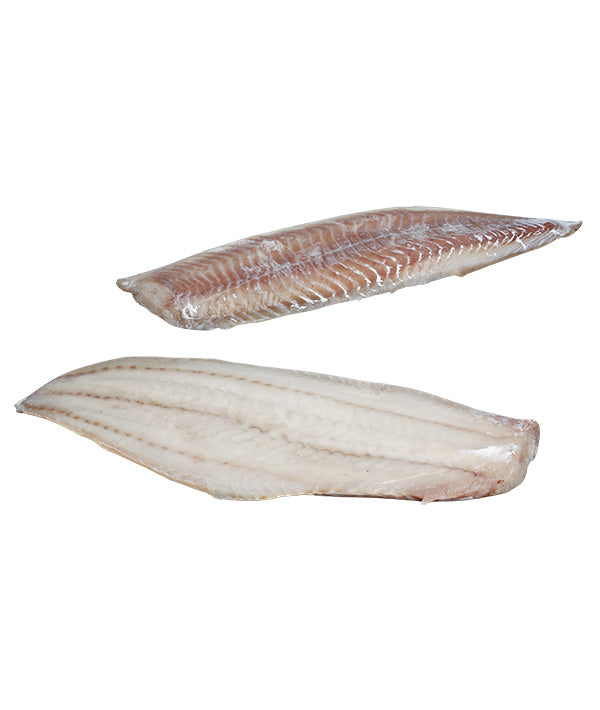 MERLUZZO FILETTO CARBONARO SENZA PELLE GR 907/+ 
CONGELATO A BORDO KG 9