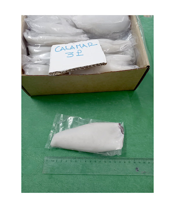 CALAMARO MAROCCO FAO 34 PULITO  3P IWP KG 5