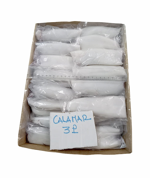 CALAMARO MAROCCO FAO 34 PULITO  3P IWP KG 5
