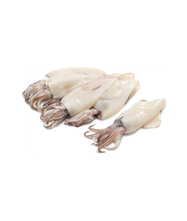 CALAMARO MAROCCO FAO 34 PULITO  3P IWP KG 5