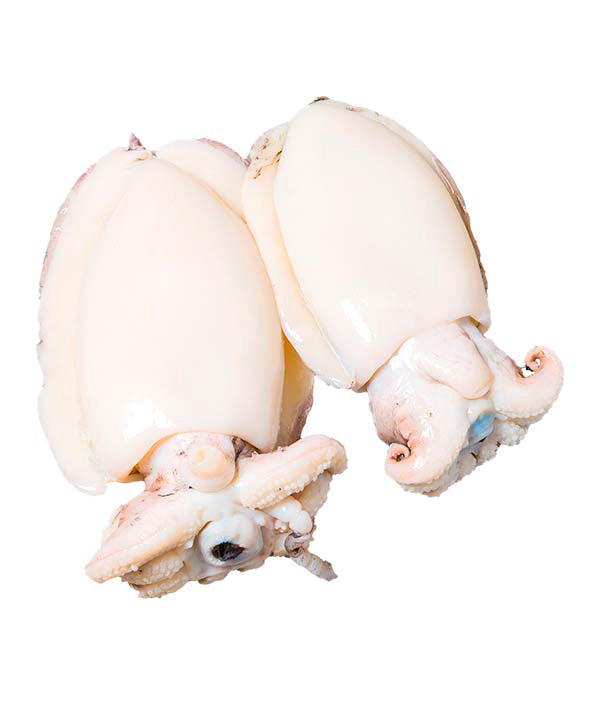 SEPPIA NOSTRANA PULITA 100/200g DAL FRESCO KG 5