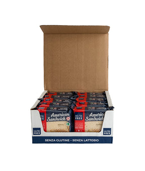 PANE AMERICAN SANDWICH SENZA GLUTINE GR 240