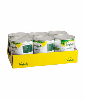 GERMOGLI FAGIOLO MUNGO LATTA 4/4 BONDUELLE GR 800