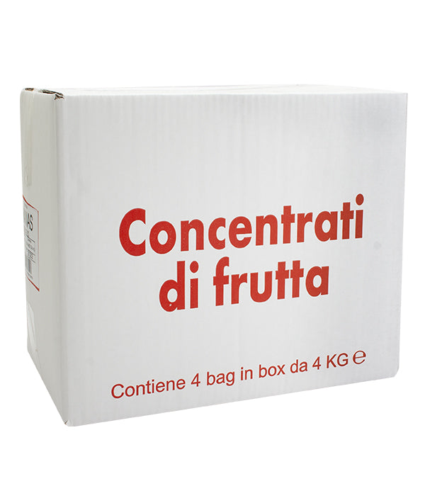 SUCCO CONCENTRATO DI ANANAS BAG IN BOX KG 4