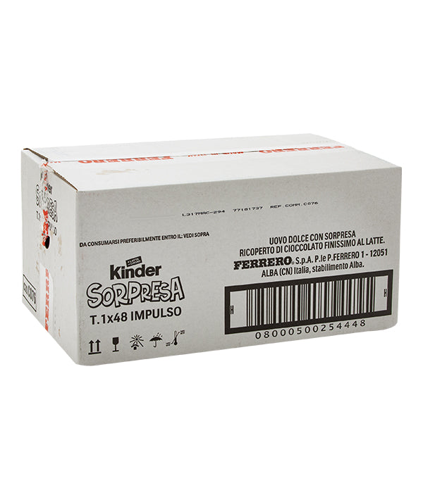 KINDER SORPRESA ESPOSITORE PZ 48X20 GR 960