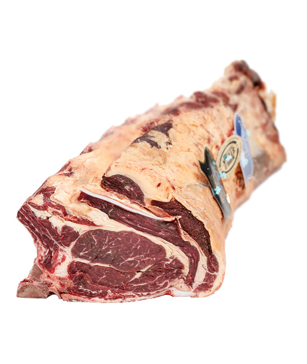 LOMBATA 8 COSTE BOVINO ADULTO