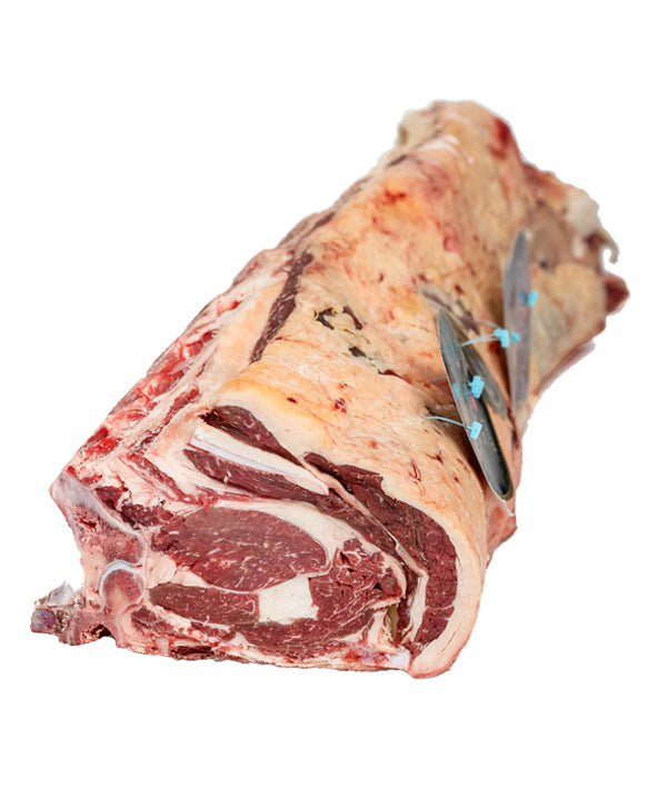 LOMBATA 8 COSTE SCOTTONA DI BOVINO ADULTO