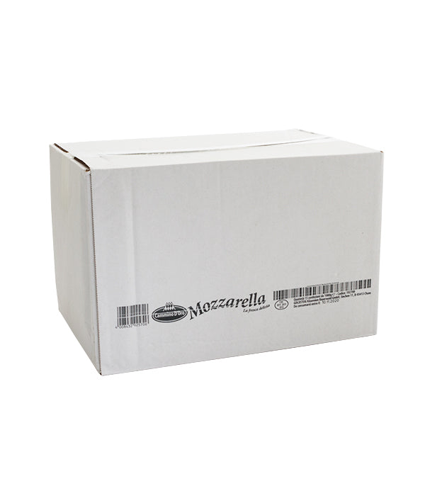 MOZZARELLA FILONE FIORDILATTE (PEZZO) CAMMINO D'ORO KG 1