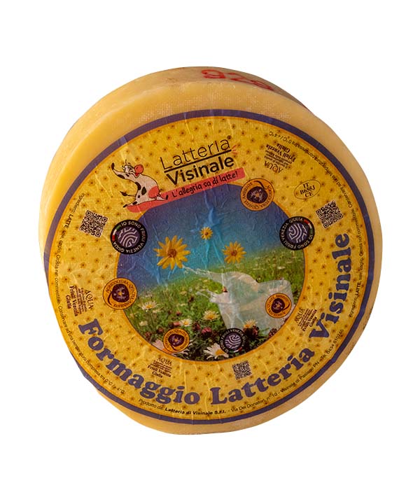 FORMAGGIO LATTERIA 45 GIORNI FORMA VISINALE KG 6,5