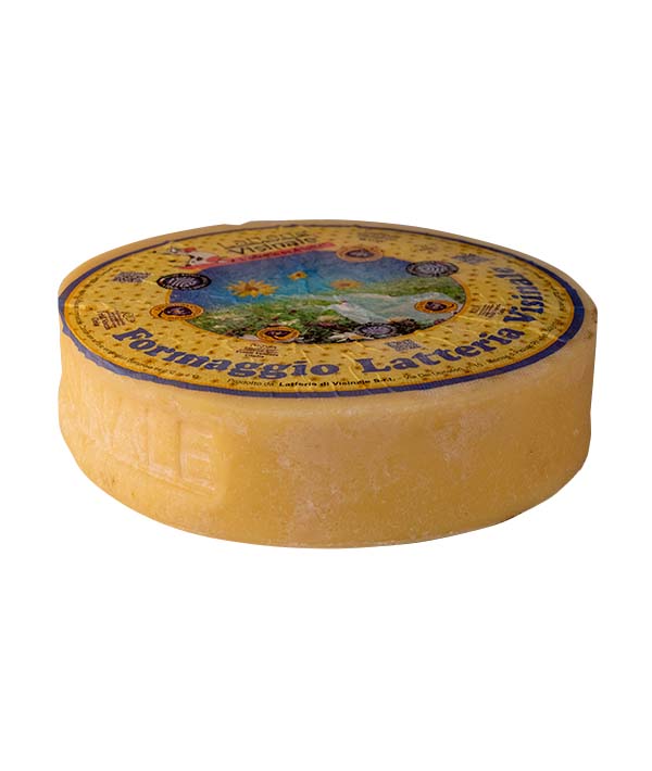 FORMAGGIO LATTERIA 45 GIORNI FORMA VISINALE KG 6,5
