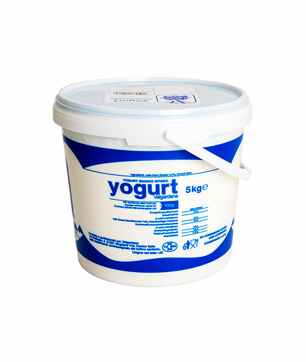 YOGURT INTERO NATURALE VAL GARDENA KG 5