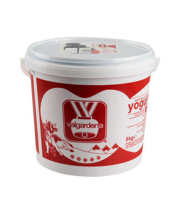 YOGURT FRUTTI BOSCO VAL GARDENA KG 5