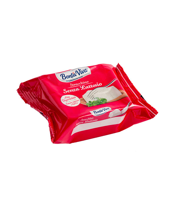 FORMAGGIO STRACCHINO SENZA LATTOSIO BONTÀ VIVA GR 100
