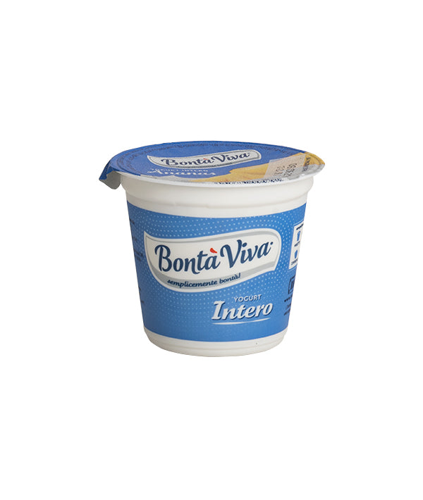 YOGURT INTERO ANANAS BONTÀ VIVA GR 125