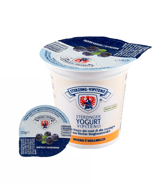 YOGURT INTERO MIRTILLO NERO VIPITENO GR 125