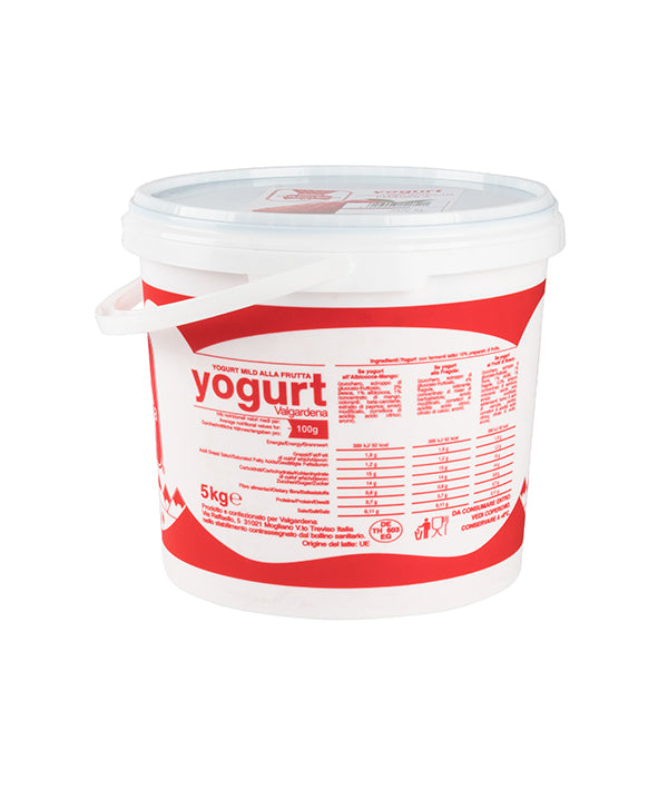 YOGURT ALLA FRAGOLA VAL GARDENA KG 5
