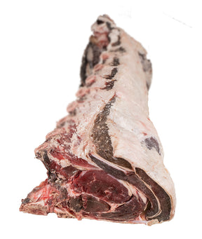 LOMBATA DI BOVINO ADULTO 8 COSTE HEREFORD