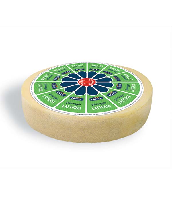 FORMAGGIO LATTERIA TREVISO FORMA KG 6