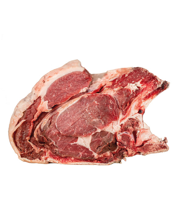 LOMBATA DI VITELLONE 8 COSTE POLONIA