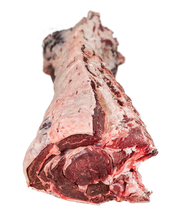 LOMBATA DI VITELLONE 8 COSTE POLONIA