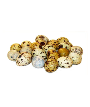 UOVA FRESCHE DI QUAGLIA PZ 18 GR 234