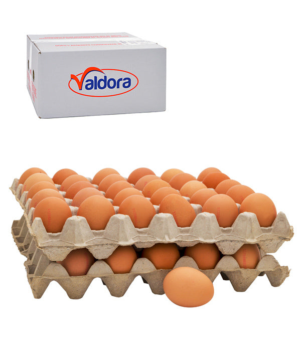 UOVA FRESCHE 63/73 PASTA GIALLA SFUSE PZ 60 VALDORA KG 4,08