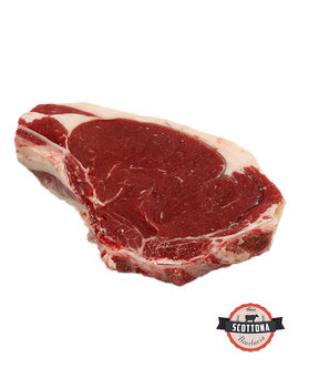 COSTATA 500/600g SOTTOVUOTO SCOTTONA BRASLAVIA VALDORA