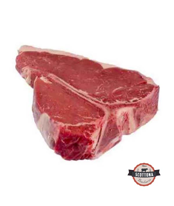 FIORENTINA SOTTOVUOTO SCOTTONA BRASLAVIA VALDORA KG 1